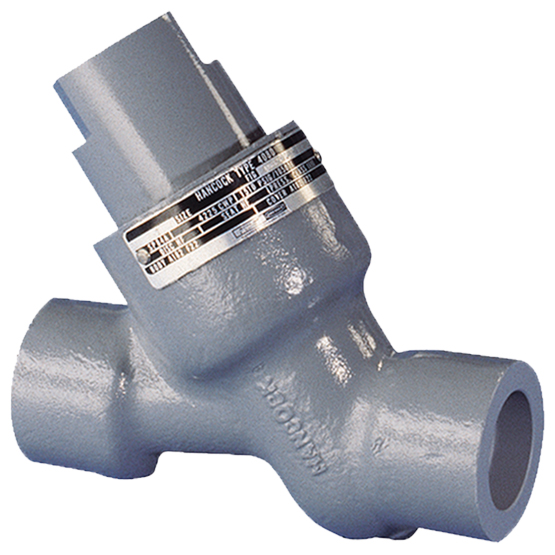 Check valve