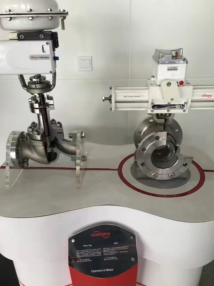 Flowserve control valve
